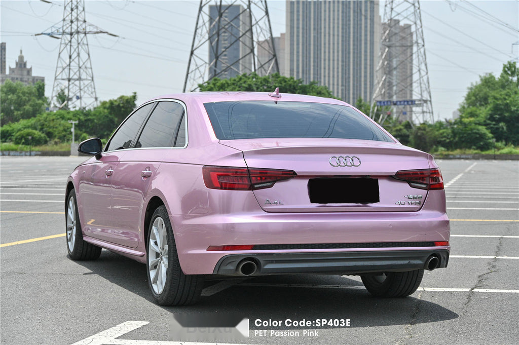 PET Passion Pink Vinyl image 4