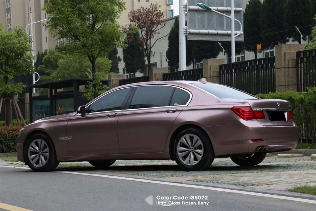 Ultra Gloss Frozen Berry Vinyl image 3